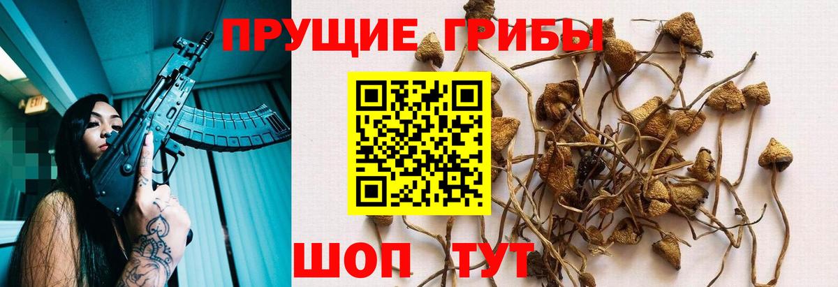 Псилоцибиновые грибы мицелий Советский